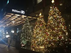 -北京王府井希尔顿酒店·秦唐中餐厅Chynna