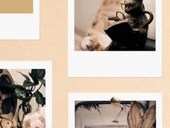 -春风·有糖(崇宁路店)