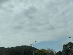 -苏州太湖湖滨国家湿地公园