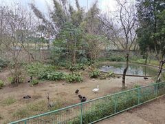 -柳州市动物园