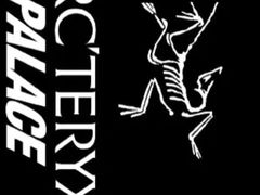 -ARC'TERYX始祖鸟(北京王府中环店)