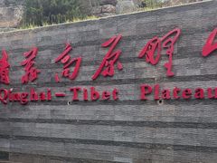 -青藏高原野生动物园