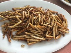-天强农家菜馆
