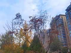 -唐城墙遗址公园