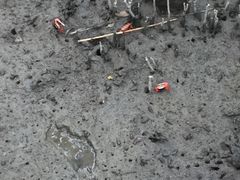 -北海金海湾红树林生态旅游区