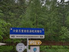 -汤旺河林海奇石景区
