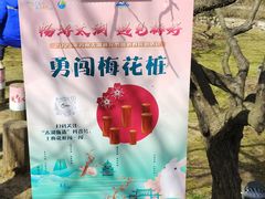 -香雪海
