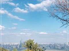 -岳麓山风景名胜区