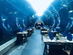 -海棠湾洲际-涛·海底餐厅·美人鱼·自助餐·海底隧道