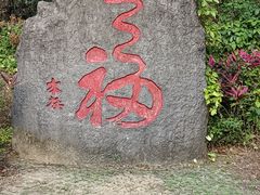 -七仙岭温泉国家森林公园