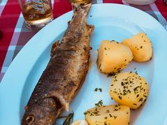 -布劳伽斯特豪夫哈尔施塔特宾馆