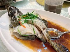清蒸龙胆鱼-华兴大酒楼(亿宝大厦店)