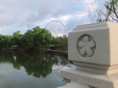 -顾村公园