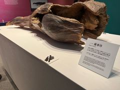 -大阪历史博物馆