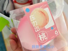 -野萃山·潮汕厚果汁(十亩地店)