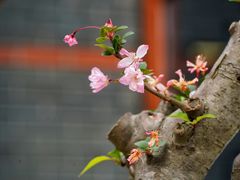-秦皇岛路游船码头