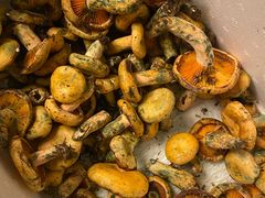 -滇野云南野生菌餐厅(陕西南路店)