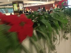 -杭州文化广播电视集团