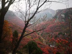 -石门坊