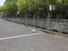 -高旻寺