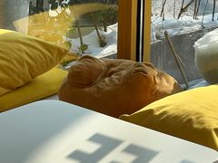 -五进制 Coffee Shop