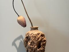 -菩提素健康自助素食馆