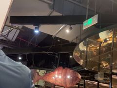 -老板恋上鱼(高新万达店)