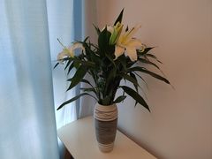 -循礼门鲜花花市(武汉循礼门店)