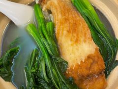 鱼汤菜心-雅苑餐厅(朝天路店)