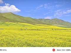 -扁都口生态休闲旅游区