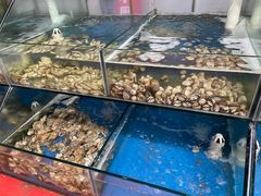 水产区-雅逸居海鲜小厨