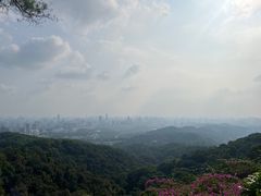 -点都德(广州白云山景区南门店)
