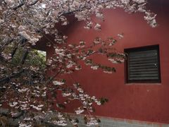 -石岛赤山风景区