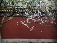 -钱王祠
