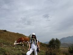 -灵山