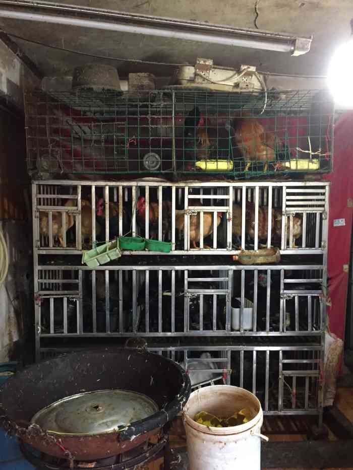 专门卖土鸡土鸭的.附近还有卖鸽子什么的.