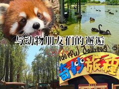 -合肥野生动物园