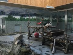 -西安秦岭野生动物园