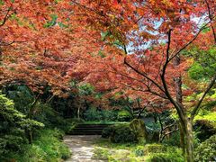 -南山植物园