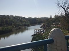 -上海长兴岛郊野公园