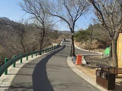 -白水寺森林公园