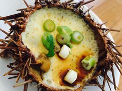 -海胆小馆(东北水饺·春柳店)