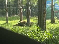 -秦皇岛野生动物园
