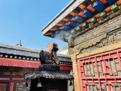 -塔尔寺菩提树