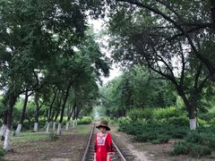 -永定河休闲森林公园