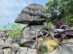 -梭布垭石林景区