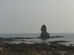 -浩运·海鲜青岛菜·海胆水饺(石老人店)