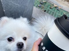 -2326 Coffee Roaster咖啡豆可选店(林肯公园店)