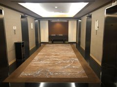 -新加坡乌节希尔顿酒店 (SG Clean)