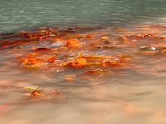 -楠溪江风景名胜区